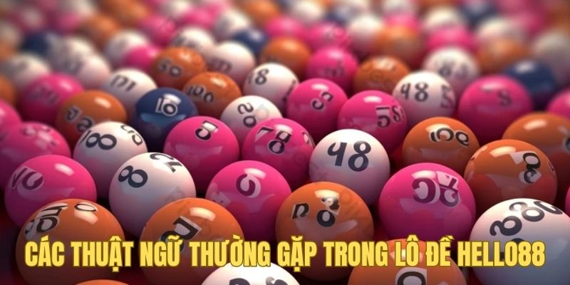 Thuật ngữ thông dụng trong lô đề Hello88