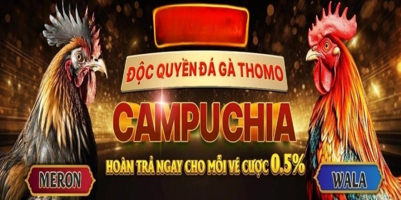 Nhận ưu đãi khi tham đá gà Campuchia tại Hello88